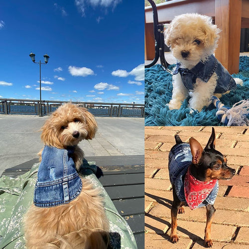 Pet Dog Cat Blue Denim Jeans Jacket Coat Vest