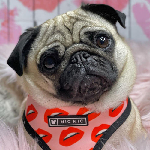 Luxury Red Lips Breathable Mesh Harness Chest Back + Traction