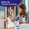 Much Loved Dog™ - Blueberry Burst, Set