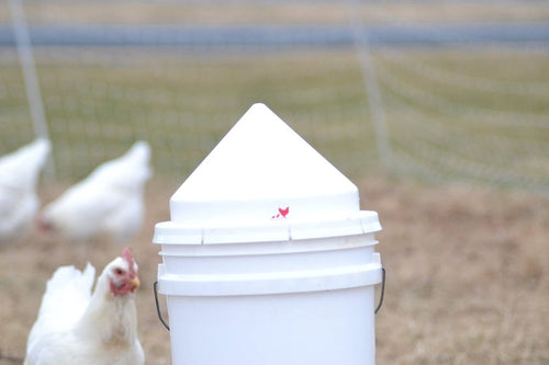 Anti-Roost Cone for 5 Gallon Round Chicken Waterers and 20lb Feeders