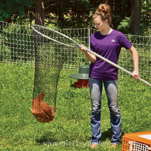 Premier EZ Catch Net for Chicken Handling (37- 57 Handle with 23 Net Opening & Teardrop Mesh)
