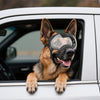 Motorcycle Dog Goggles Tactical Windproof For Large Dog