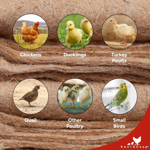 RentACoop Jute Brooder Liners for Little Red Barn Brooder (Pack of 4)