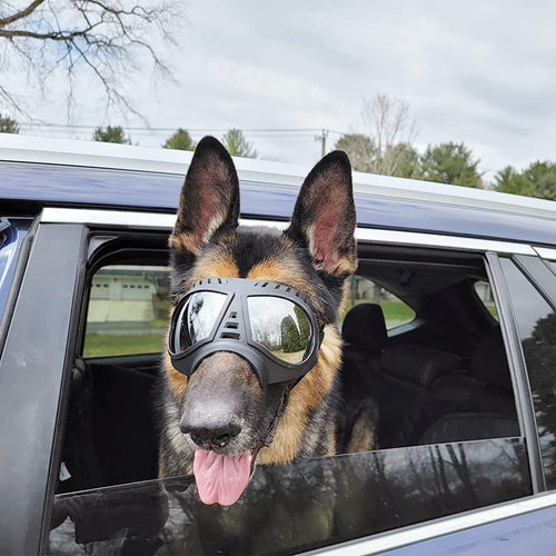 Doggles Dog Goggles Sunglasses