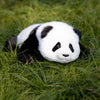 Red Panda Weighted Plush – Snuggle Toy for Stress Relief