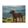Tennessee Treeing Brindle Blanket