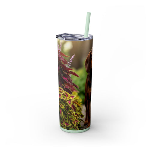 Skinny Tumbler with Straw – 20 oz Stainless Steel Cup