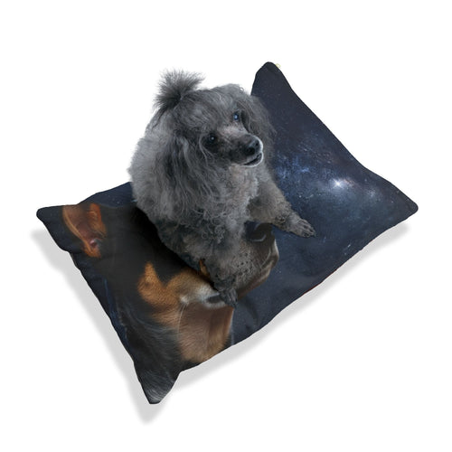 Australian Stumpy Tail Cattle Dog Pet Bed