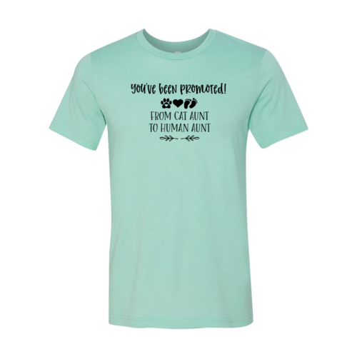 You've Been Promoted from Cat Aunt to Human Aunt T-Shirt