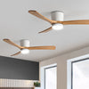 One Bedroom Household Electric Fan Pendant Lamp