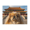Pekingese Blanket
