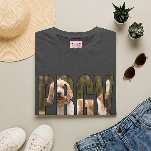 Petit Basset Griffon Vendéen (PBGV) Tee Shirt