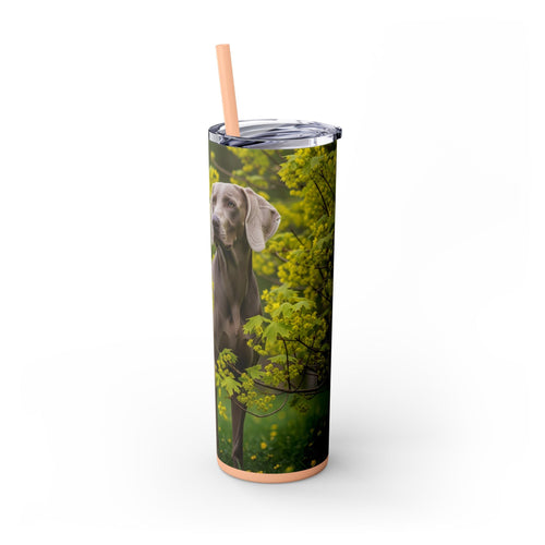 Skinny Tumbler with Straw – 20 oz Stainless Steel Cup
