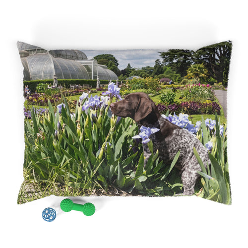Pointer Dog Pet Bed
