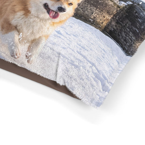 Welsh Corgi Pet Bed