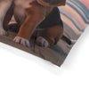Pet Bed – Plush Dog Bed, 3 Size Options