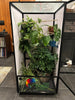 Size 24: 24x24x48 Deluxe All-In-One WIFI Controlled Automated Chameleon kit
