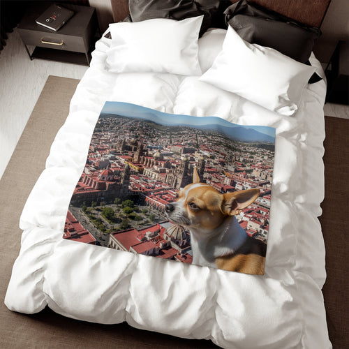 Chihuahua Blanket