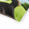 Pet Bed – Plush Dog Bed, 3 Size Options