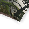 Chinese Crested Dog Pet Bed