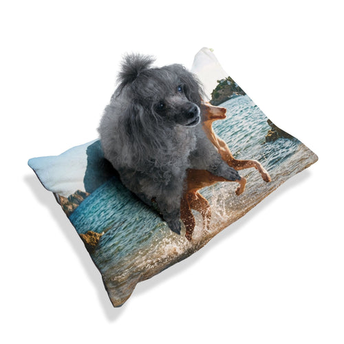 Ibizan Hound Pet Bed