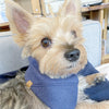 'Aiden' Reversible Pet Bandana