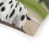 Pet Bed – Plush Dog Bed, 3 Size Options