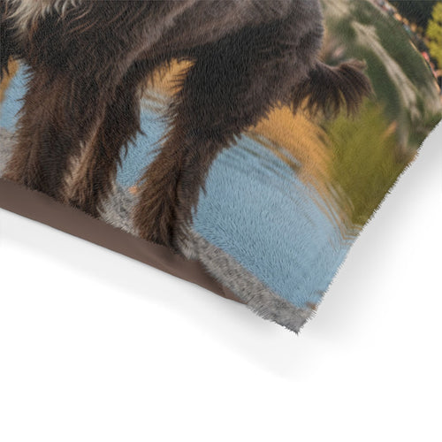 Barbet Pet Bed