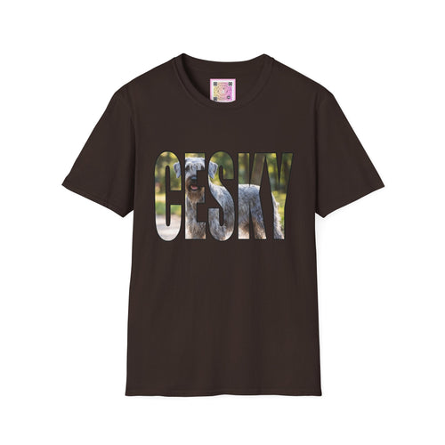 Cesky Terrier Tee Shirt
