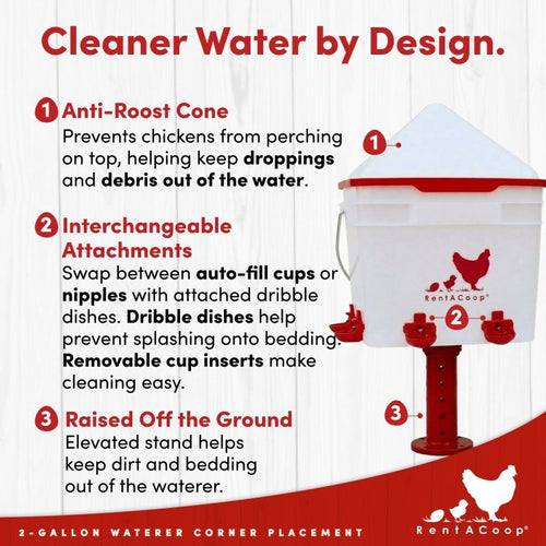 RentACoop 2 Gallon Chicken Waterer with 4 Cups and 4 Nipples - Corner Placement
