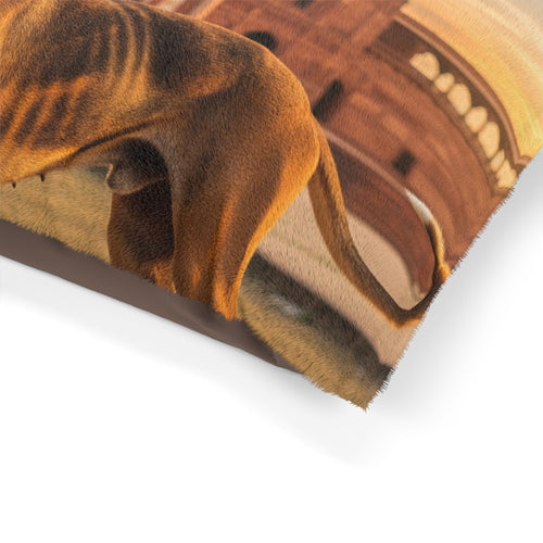 Banjara Hound Pet Bed