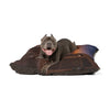 Saluki Pet Bed