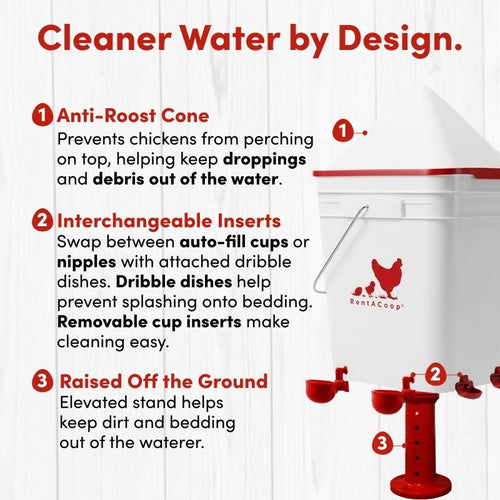 RentACoop 5 Gallon Chicken Waterer with 4 Auto-Fill Water Cups, 4 Horizontal nipples, and Adjustable Stand - Corner Placement