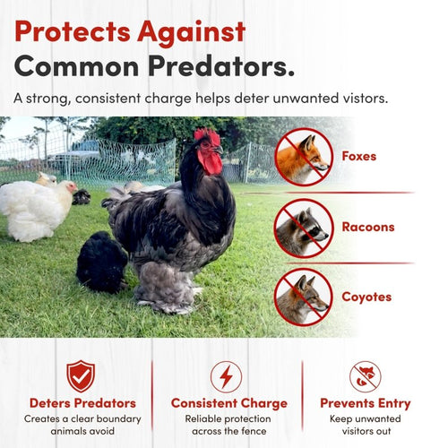 42 Electric Poultry Fencing - Suitable for Chickens, Ducks, Turkeys, and Other Poultry