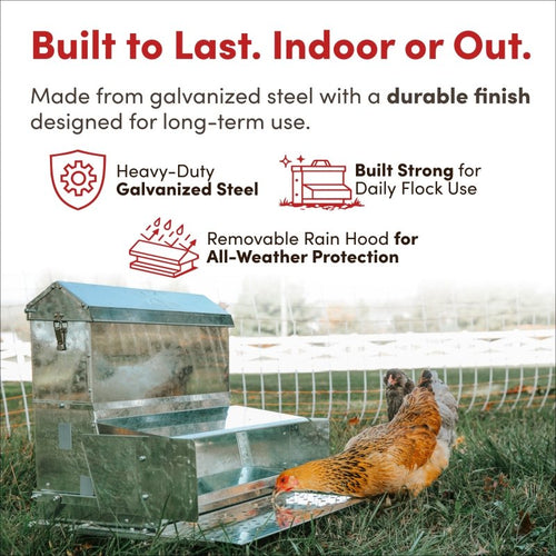 RentACoop 40 lb Automatic Treadle Chicken Feeder
