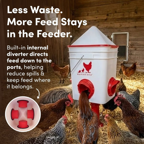 RentACoop Chicken Feeder & Waterer Set– 25lb No-Waste Feeder with 4 Large Ports + 5-Gallon Waterer with Auto-Fill Cups & Horizontal Nipples