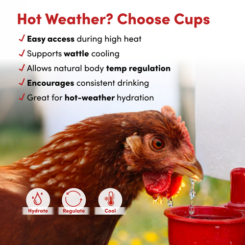 RentACoop 64oz(2L) Automatic Drinker with Auto-Fill Cup and Horizontal Nipple