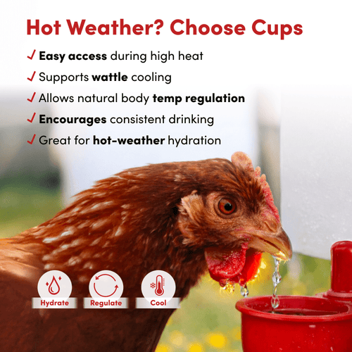 RentACoop 32oz(1L) Automatic Drinker with Auto-Fill Cup and Horizontal Nipple