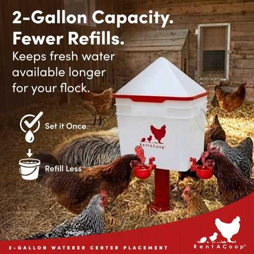 RentACoop 2 Gallon Chicken Waterer with 4 Auto-Fill Water Cups and 4 Horizontal nipples