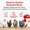 RentACoop Chick2Chicken 2.5lb BPA-Free Single-Port Feeder