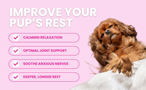 Luxury Light Blue Striped Sofa Dog Bed - Glow Pups