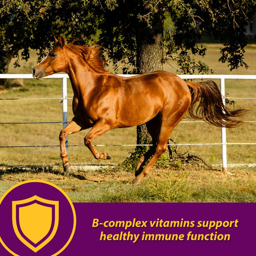 Horse Health Red Cell Supplement 32 oz. Yucca Vitamin Iron Mineral Blood Builder