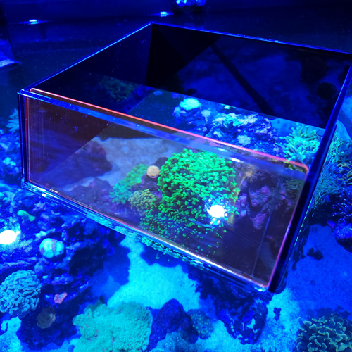 Top Down Viewer Zoa - 8 panel