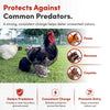 48 Electric Poultry Fencing - Suitable for Chickens, Ducks, Turkeys, and Other Poultry