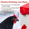 RentACoop 2.5 Pound Chick2Chicken Medium Port Feeder and 64 Ounce (2 Liter) Drinker Set for Chicks, Chickens, Quail, and Other Small Birds