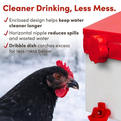 RentACoop 2.5 Pound Chick2Chicken Medium Port Feeder and 64 Ounce (2 Liter) Drinker Set for Chicks, Chickens, Quail, and Other Small Birds