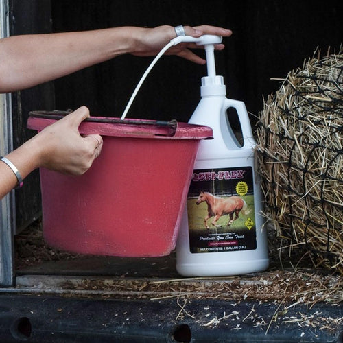 Cox Vet Lab Acti-Flex Equine Joint Supplement Piña Colada Flavor 1 Gallon