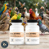 Fix Zithro Azithromycin 250 mg Tablets for Birds