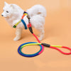 Colorful Nylon Round Hand Holding Dog Leash