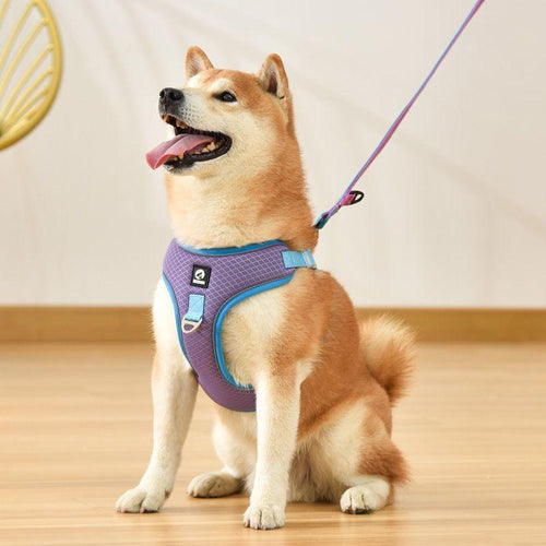 Adjustable Reflective Dog Harness Set